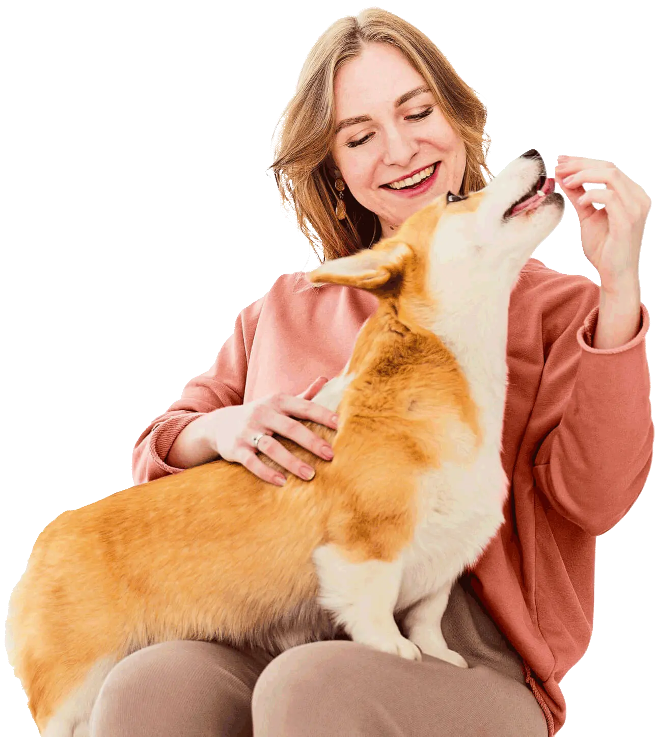 Veterinário Araçatuba - Dr. Thales Mariano de Araújo